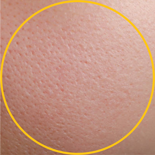 Pores and texture