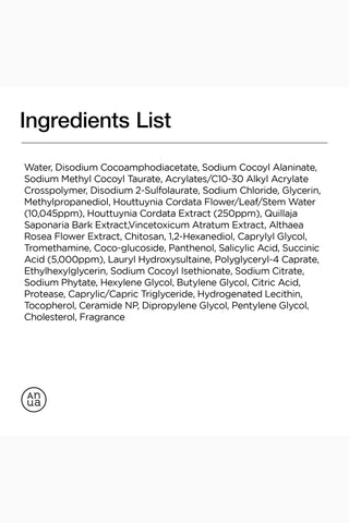 Heartleaf Succinic Moisture Cleansing Foam, 150ML