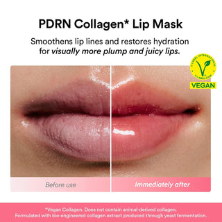 PDRN Vegan Collagen Lip Mask Glazed Jelly 11g