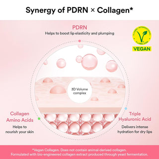PDRN Vegan Collagen Lip Mask Glazed Jelly 11g