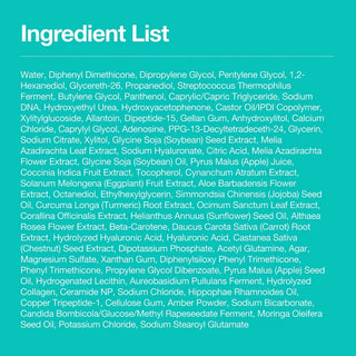 PDRN 100 Hyaluronic Acid Hydrating Capsule Mist 100ml